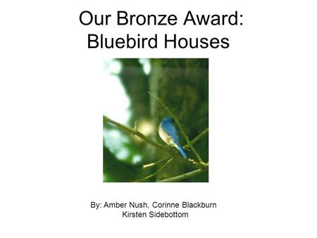 Our Bronze Award: Bluebird Houses By: Amber Nush, Corinne Blackburn Kirsten Sidebottom.