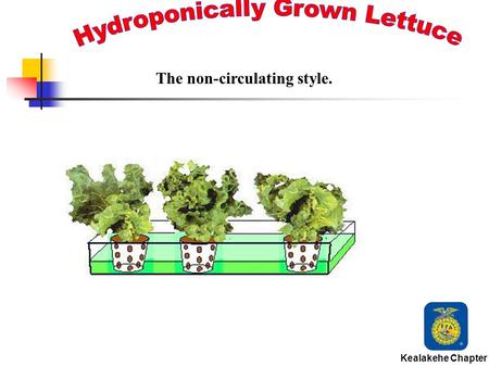 Kealakehe Chapter The non-circulating style. Hydroponics is the science of growing plants in water without soil. Kealakehe Chapter.