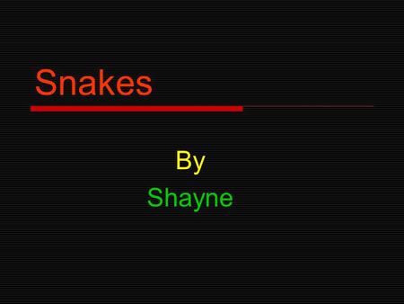 Snakes By Shayne Snake facts Snakes are reptiles. There are about 3000 species of snakes in the world. And 375 of them are venomous.