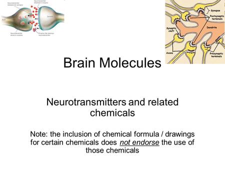 Brain Molecules Neurotransmitters and related chemicals Note: the inclusion of chemical formula / drawings for certain chemicals does not endorse the use.