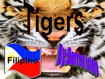 Tigers Filipino By:Darren Isidro.