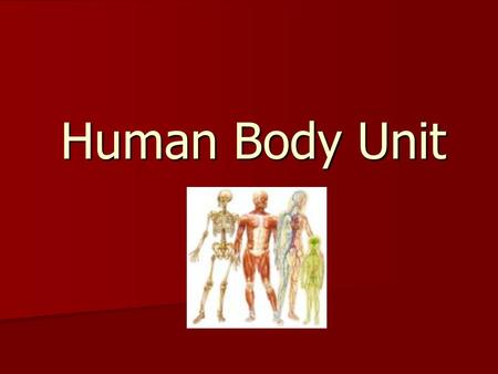 Human Body Unit. Science Benchmarks Describe the structures of the human body and how they work together to sustain life Describe the structures of the.