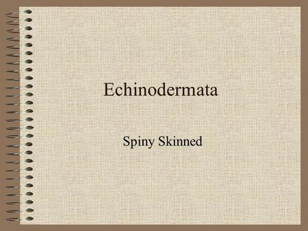 Echinodermata Spiny Skinned.