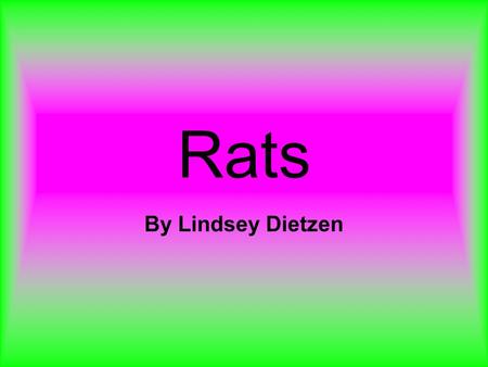 Rats By Lindsey Dietzen. Habitat Rats live in urban and rural parts of the world. Rats sometimes live with humans in cages.