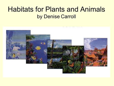 Habitats for Plants and Animals by Denise Carroll