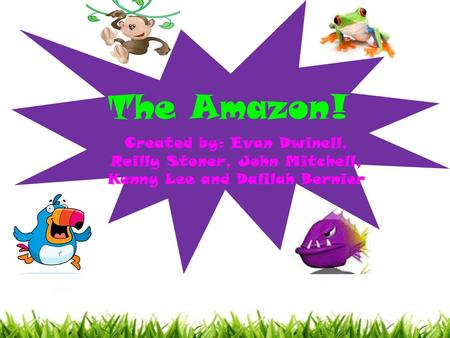 The Amazon! Created by: Evan Dwinell, Reilly Stoner, John Mitchell, Kenny Lee and Dalilah Bernier.