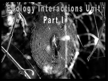 The Ecology: Interactions Unit The Ecology: Interactions Unit Everything is connected to each other. Everything is connected to each other.
