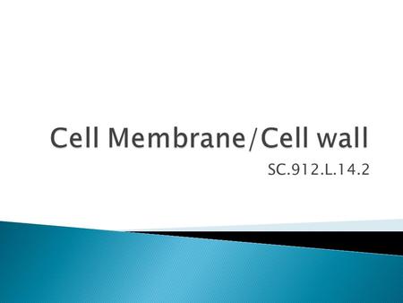 SC.912.L.14.2. How does something as thin as a cell wall or membrane protect a cell?