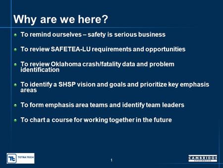 Oklahoma Strategic Highway Safety Plan – Meeting Objectives presented to SHSP Leadership Group SHSP Working Group presented by Dawn Sullivan, Oklahoma.