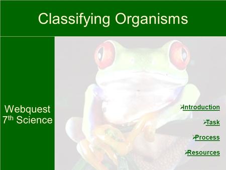 Classifying Organisms