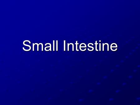 Small Intestine. Most chemical digestion takes place here Absorb nutrients Other organs assist 1 st part of the SI is the duodenum.