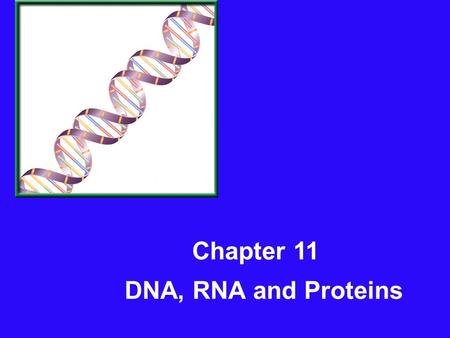Chapter 11 DNA, RNA and Proteins.