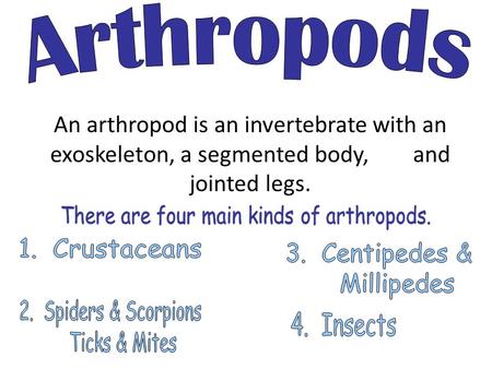 There are four main kinds of arthropods.