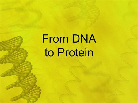 From DNA to Protein.