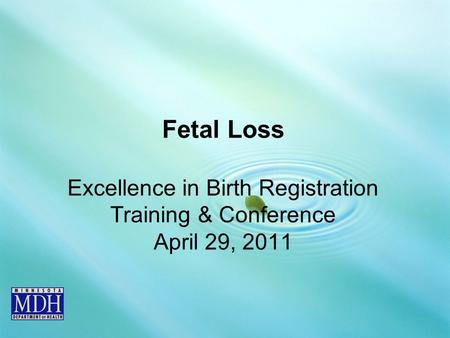 Fetal Loss Excellence in Birth Registration Training & Conference April 29, 2011.