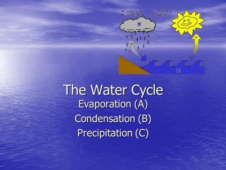 Evaporation (A) Condensation (B) Precipitation (C)