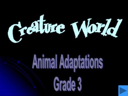 Animal Adaptations Grade 3.