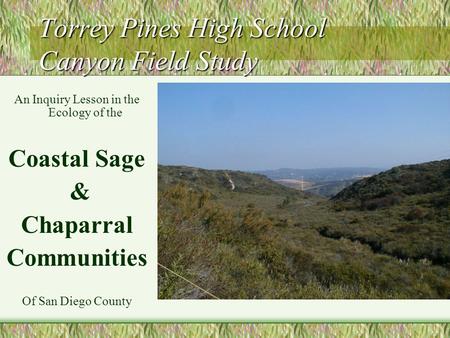 Torrey Pines High School Canyon Field Study