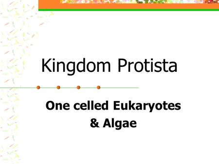 One celled Eukaryotes & Algae