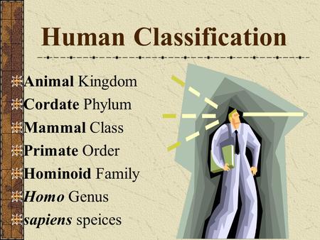 Human Classification Animal Kingdom Cordate Phylum Mammal Class