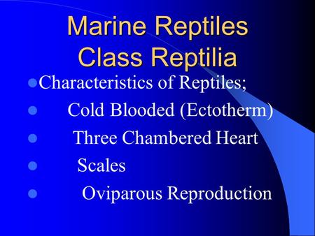 Marine Reptiles Class Reptilia