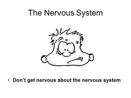 The Nervous System Dont get nervous about the nervous system.