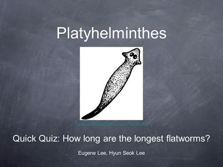 Platyhelminthes Quick Quiz: How long are the longest flatworms?
