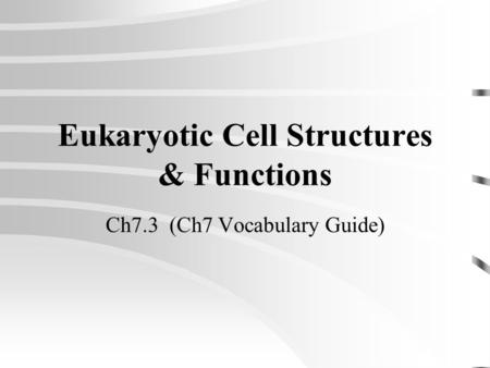 Eukaryotic Cell Structures & Functions