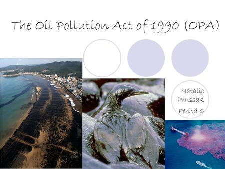 The Oil Pollution Act of 1990 (OPA)