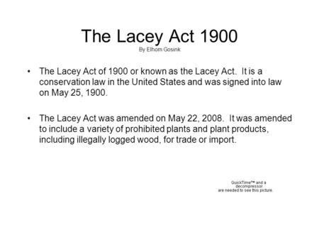 The Lacey Act 1900 By Elhom Gosink
