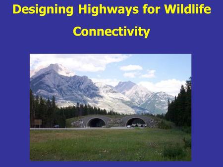 Designing Highways for Wildlife Connectivity. Course Introductions.