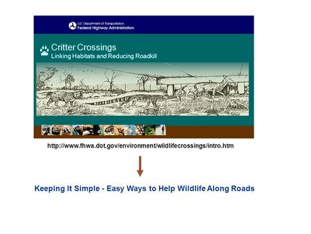 Keeping It Simple - Easy Ways to Help Wildlife Along Roads Critter Crossings Linking Habitats and Reducing Roadkill
