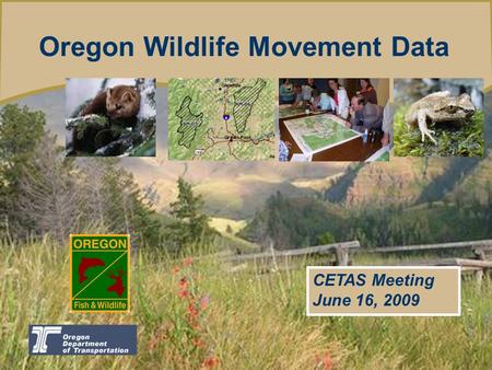 Oregon Wildlife Movement Data CETAS Meeting June 16, 2009.