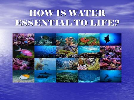 HOW IS WATER ESSENTIAL TO LIFE?. FACTS ABOUT WATER What percent of the planet is water? What percent of the planet is water? How much is fresh water?
