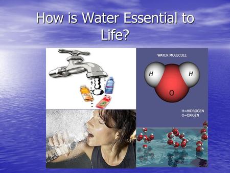 How is Water Essential to Life?. FACTS ABOUT WATER What percent of the planet is water? What percent of the planet is water? How much is fresh water?