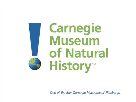 Carnegie Museum of Natural History Established in 1895 by Pittsburgh philanthropist Andrew Carnegie Dinosaur Hall opened in 1907 with one dinosaur Encyclopoedia.