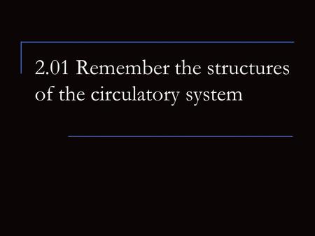 2.01 Remember the structures of the circulatory system