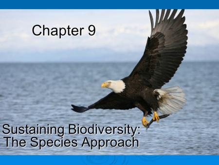 Sustaining Biodiversity: The Species Approach