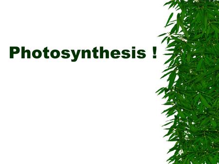 Photosynthesis !.
