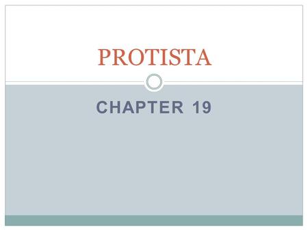 PROTISTA Chapter 19.