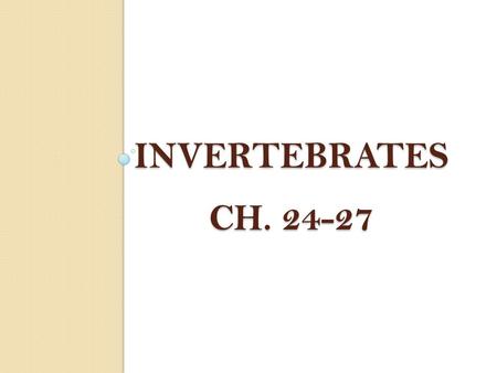 INVERTEBRATES Ch. 24-27.