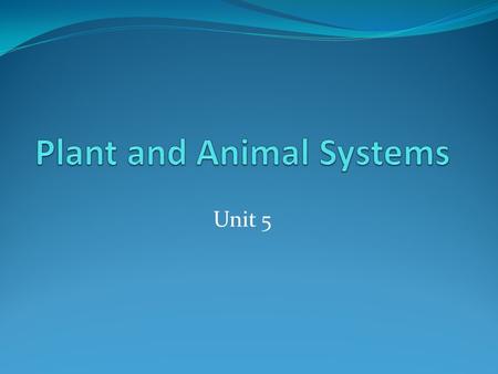 Plant and Animal Systems