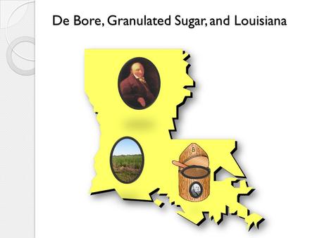 De Bore, Granulated Sugar, and Louisiana. Sugar cane contributes millions of dollars to Louisiana's economy. Of the U.S. sugar producing areas, Louisiana.