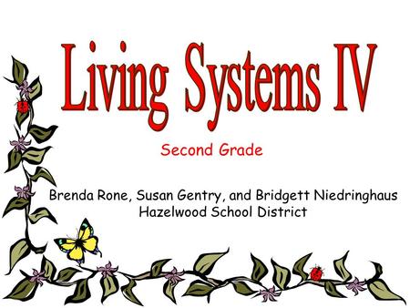 Living Systems IV Second Grade
