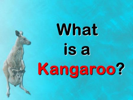 What is a Kangaroo?. kangarookangaroo kangaroo Have you ever heard of a kangaroo? What is a kangaroo? What does a kangaroo do? kangaroos Lets learn a.