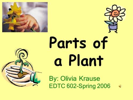 Parts of a Plant By: Olivia Krause EDTC 602-Spring 2006.