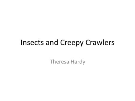 Insects and Creepy Crawlers