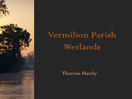 Vermilion Parish Wetlands Theresa Hardy. This is Vermilion Parish. Vermilion Parish is covered with wetlands.