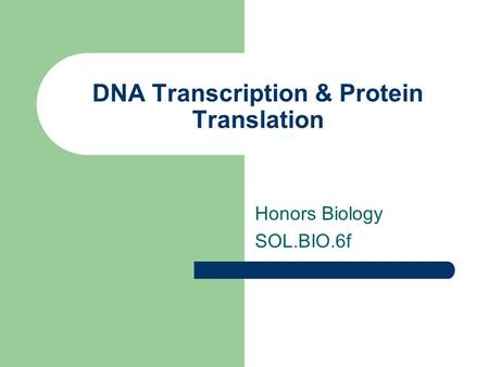 DNA Transcription & Protein Translation