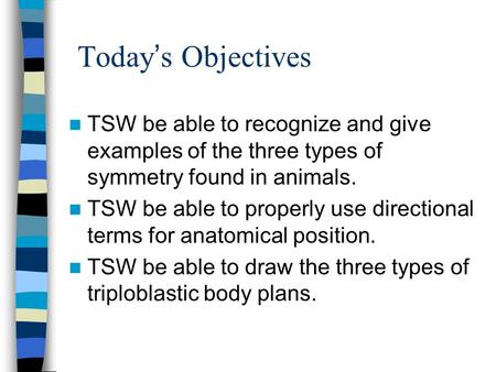  Today’s Objectives TSW be able to recognize and give examples of the three types of symmetry found in animals. TSW be able to properly use directional.